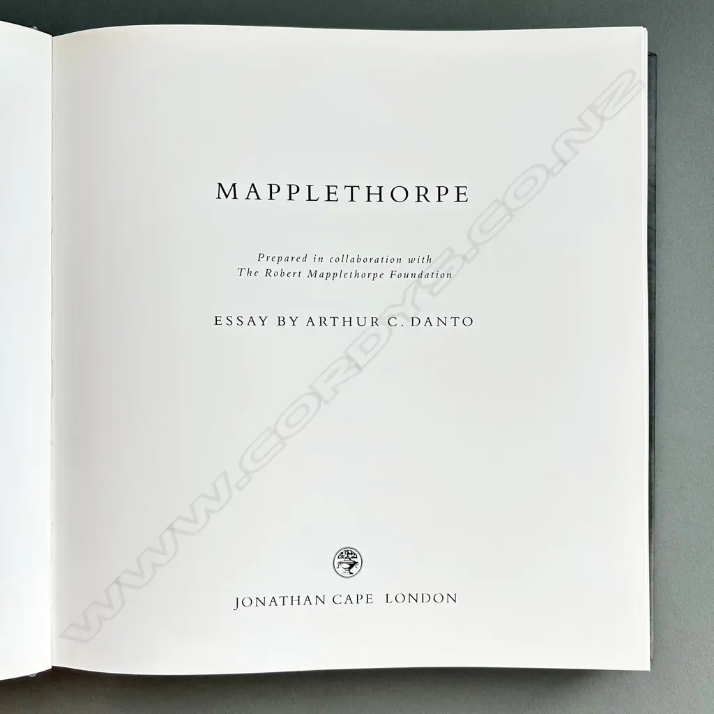 MAPPLETHORPE Image 1++